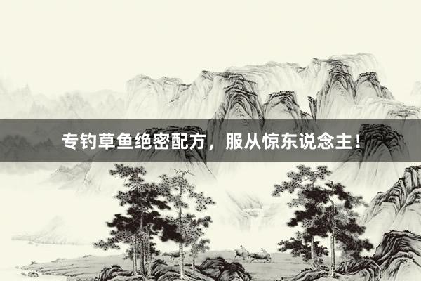 专钓草鱼绝密配方，服从惊东说念主！